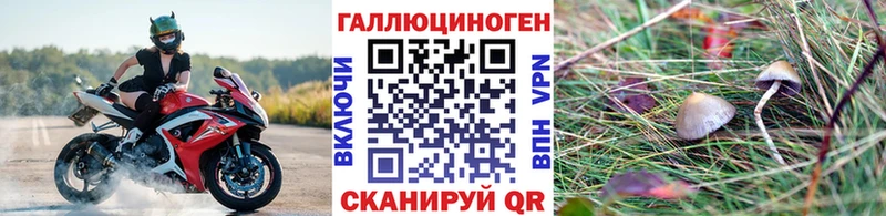 цена наркотик  Чистополь  Галлюциногенные грибы Psilocybe 