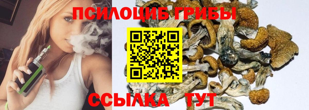 Псилоцибиновые грибы мицелий Чистополь